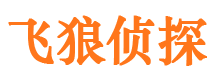 临沭市场调查